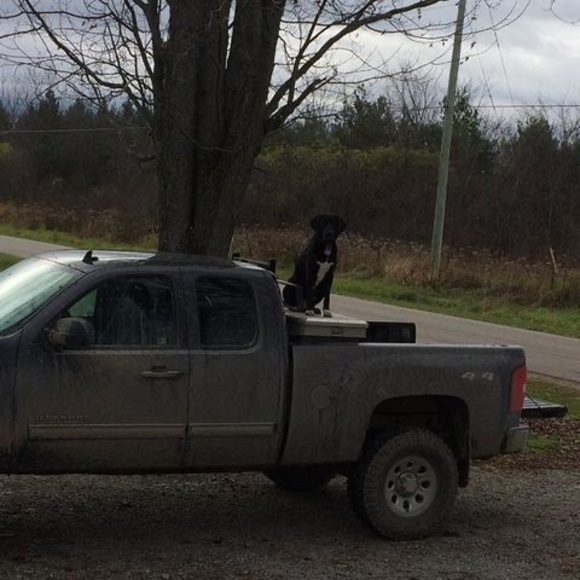 Meet your Posher, Brian - Picture 1 of 1